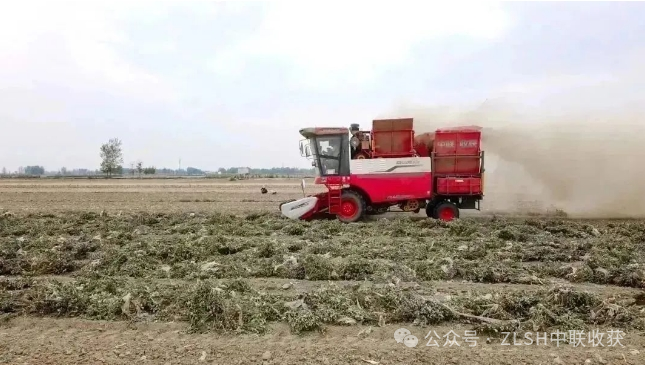 河南南阳镇平县范师傅：后悔买晚了，中联收获的花生机用着真省心，收益也更多！
